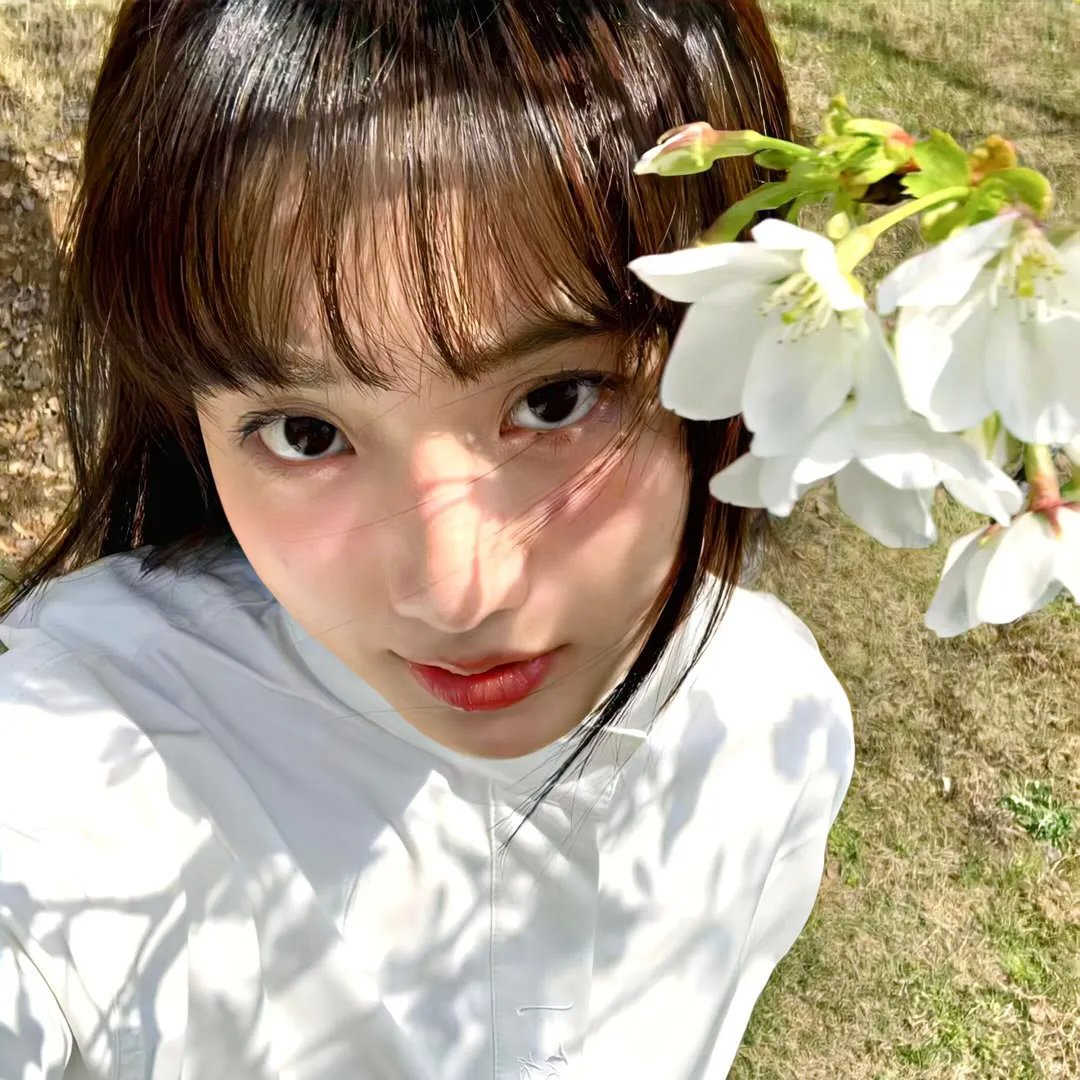 杏林战场