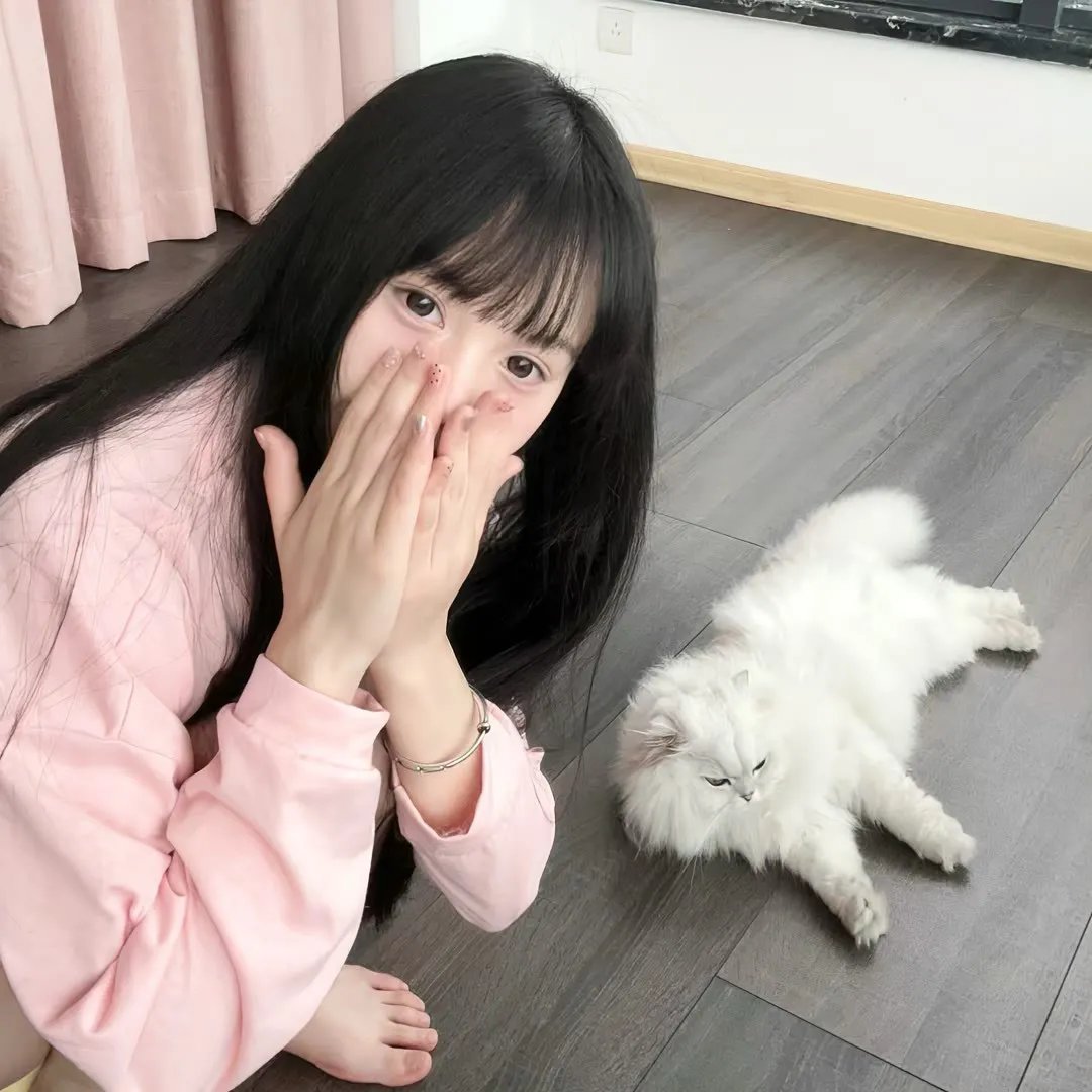 汪星人的奇思妙想